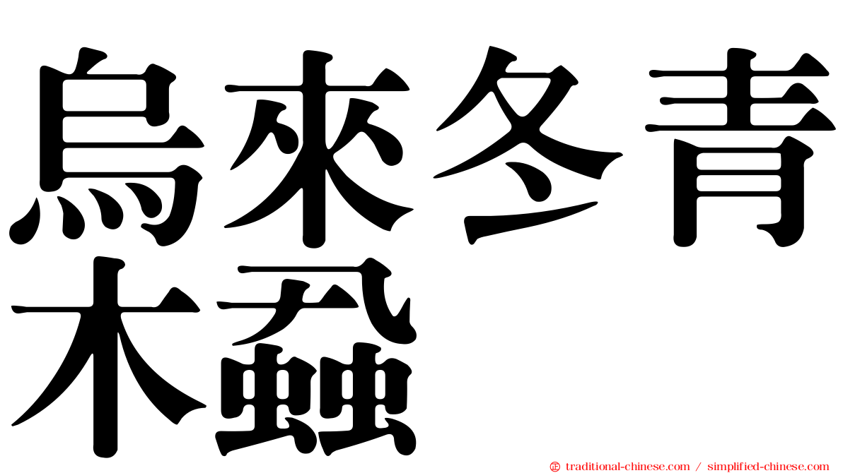烏來冬青木蝨