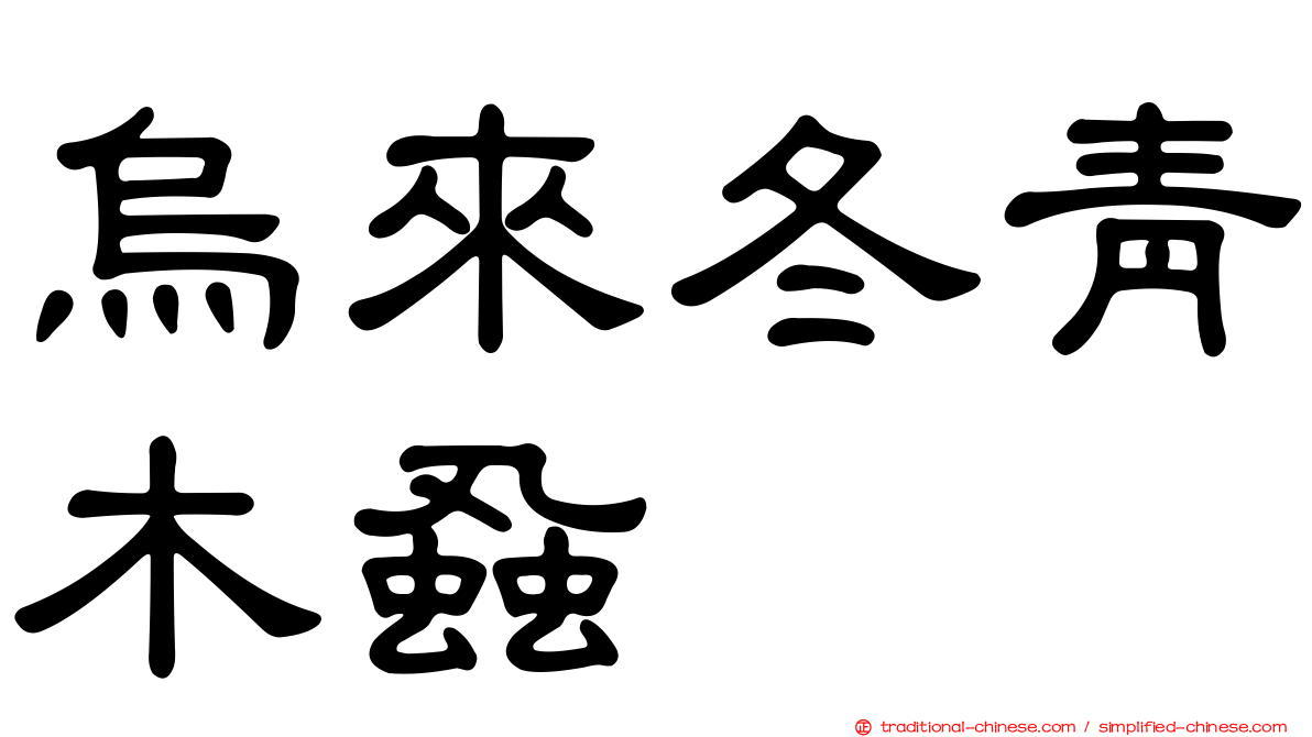 烏來冬青木蝨