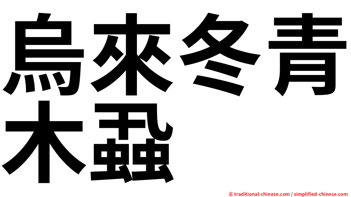 烏來冬青木蝨