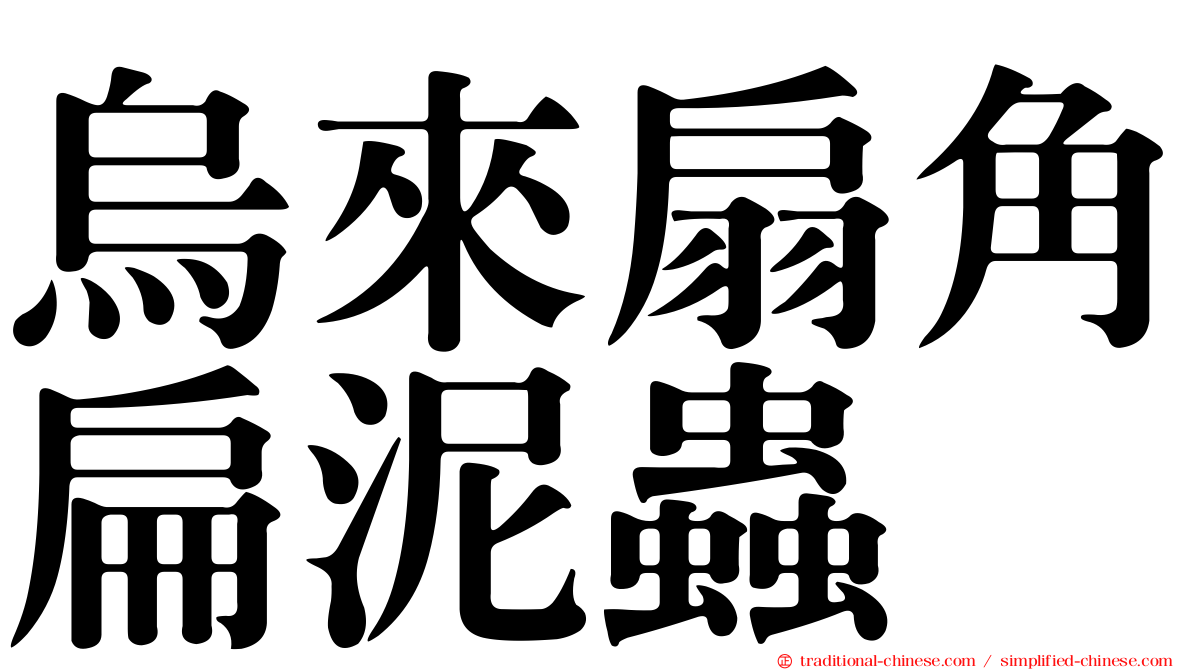 烏來扇角扁泥蟲