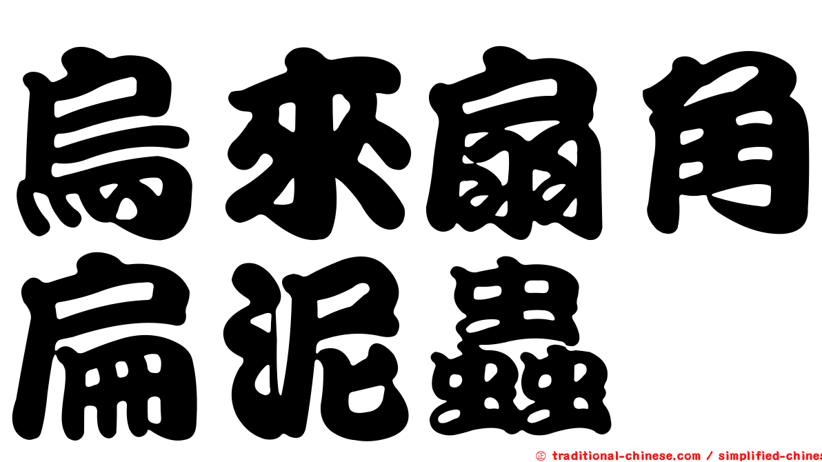 烏來扇角扁泥蟲