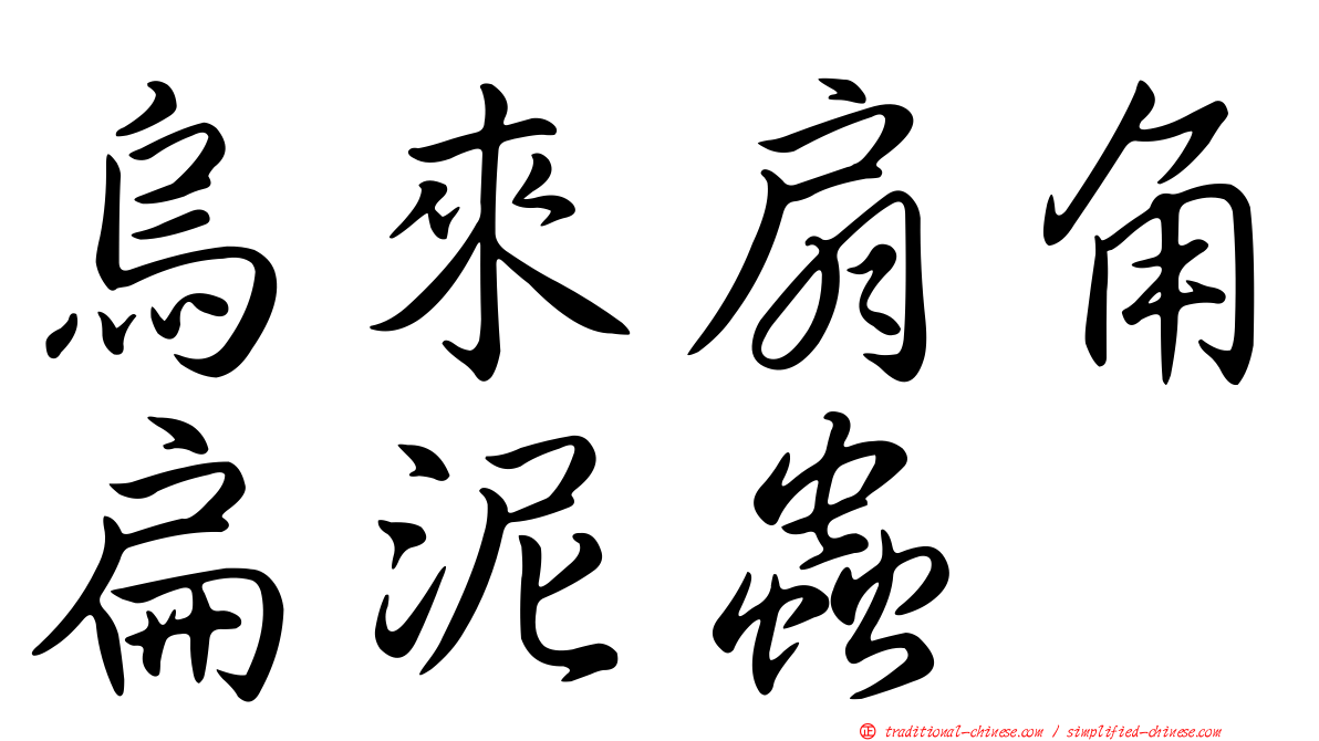 烏來扇角扁泥蟲