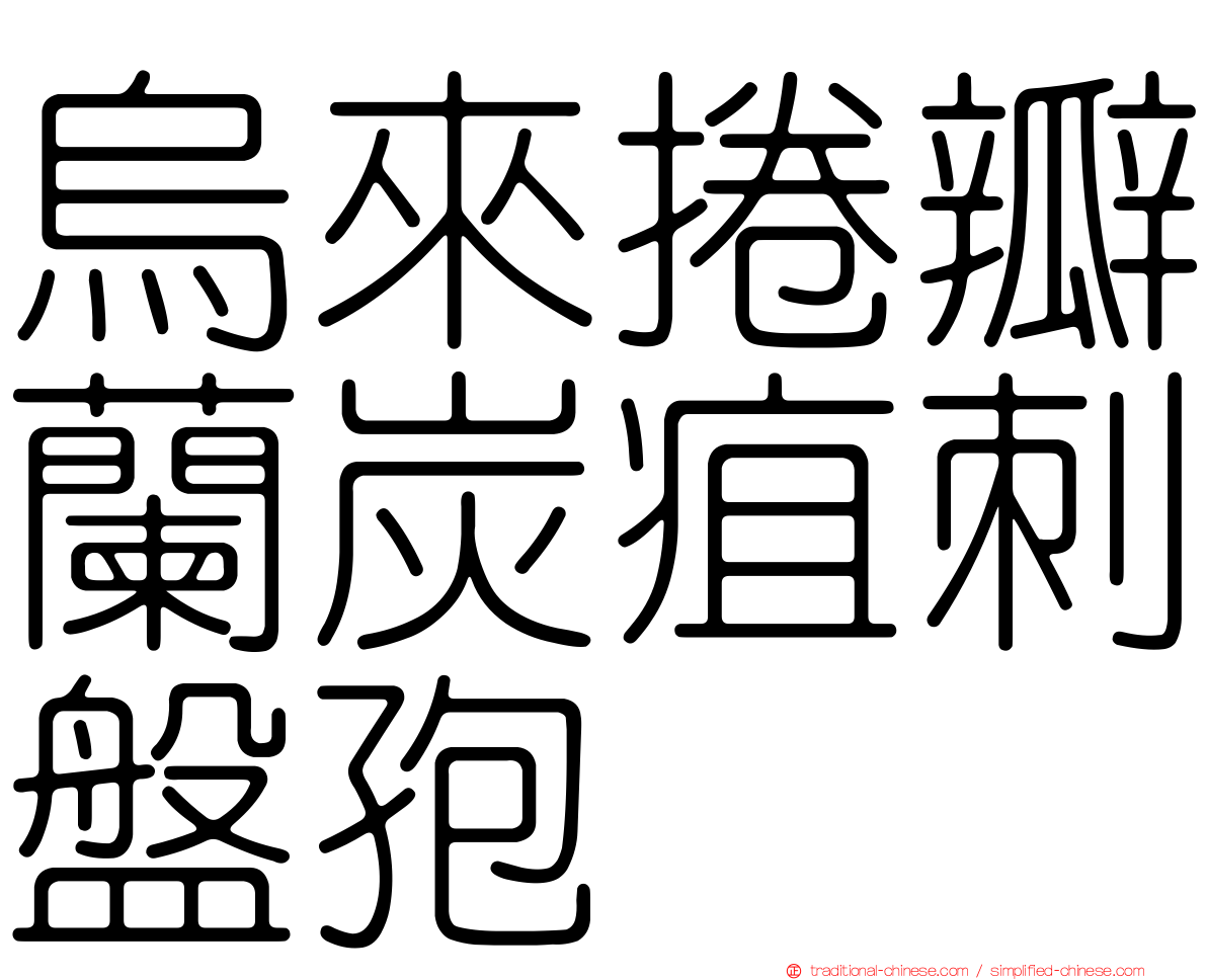 烏來捲瓣蘭炭疽刺盤孢