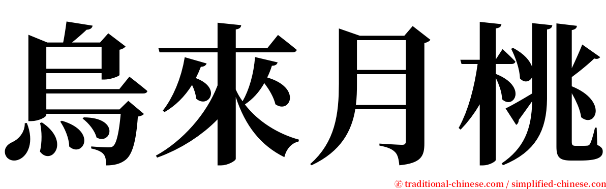 烏來月桃 serif font