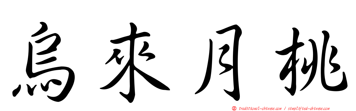 烏來月桃