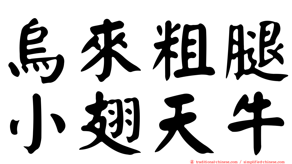 烏來粗腿小翅天牛