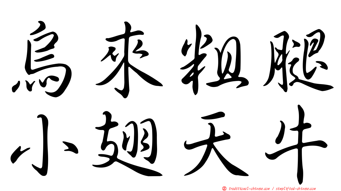 烏來粗腿小翅天牛