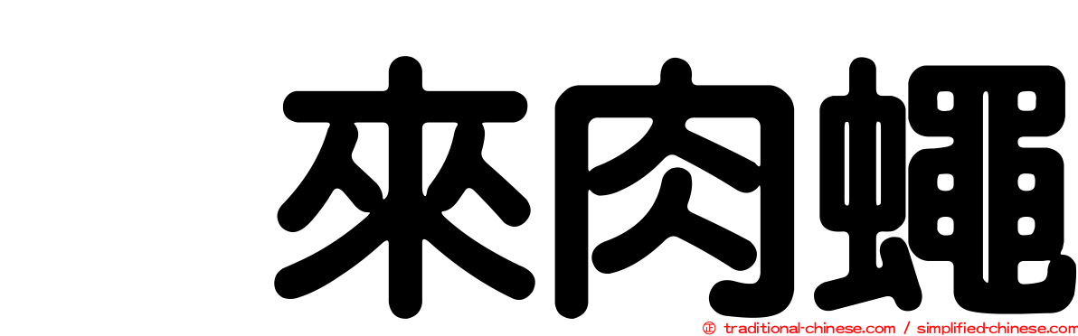 烏來肉蠅