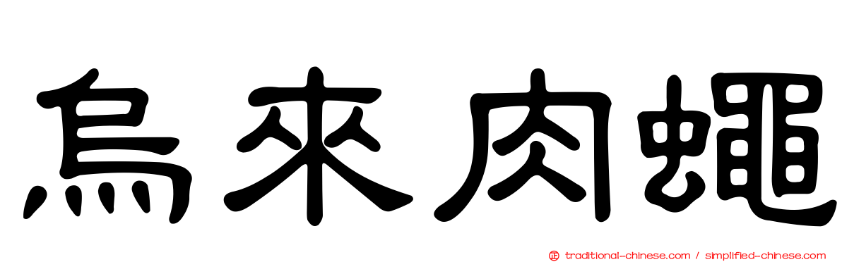 烏來肉蠅