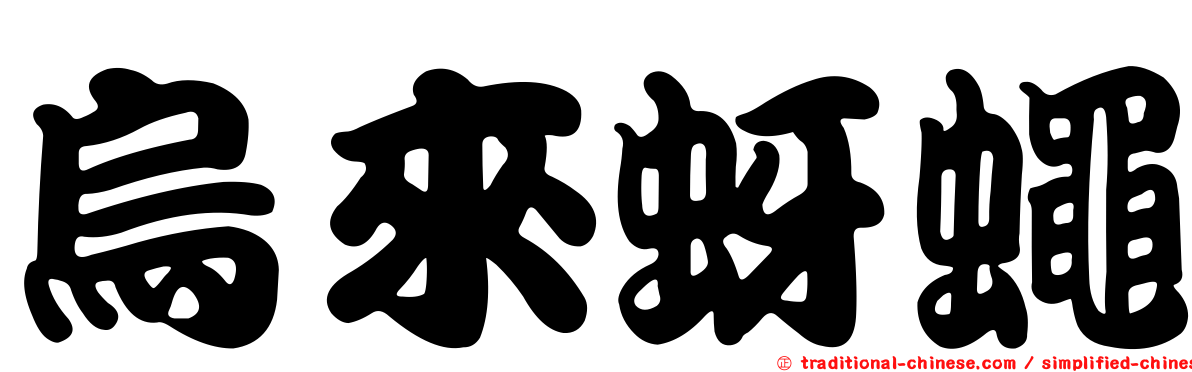 烏來蚜蠅