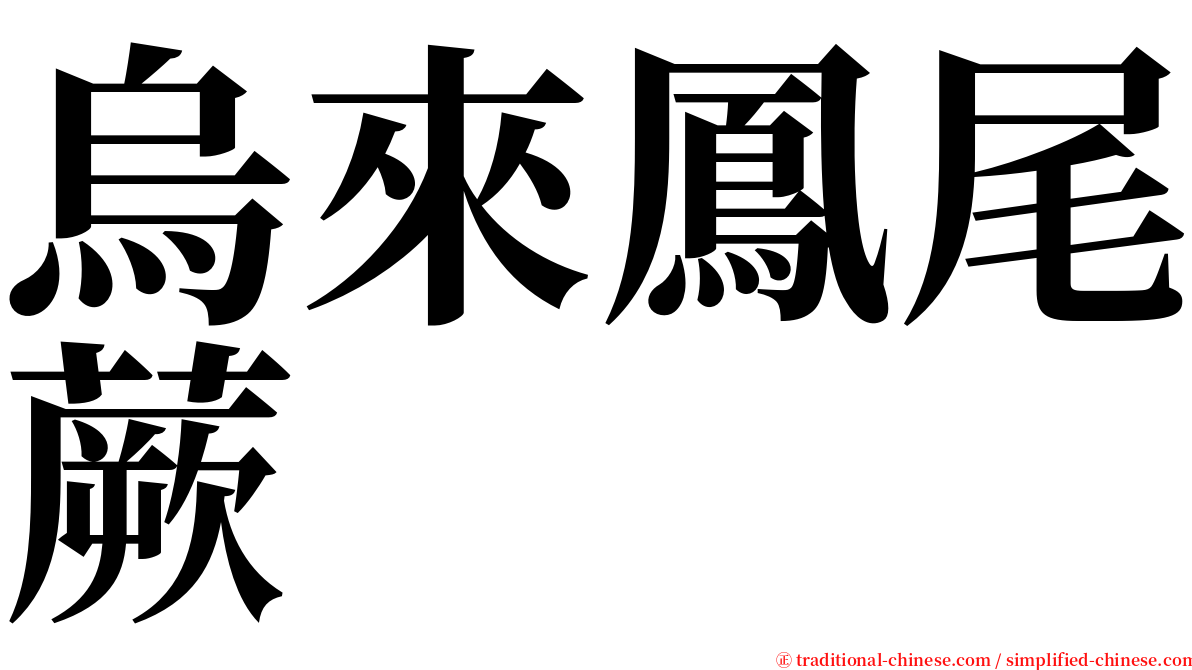 烏來鳳尾蕨 serif font