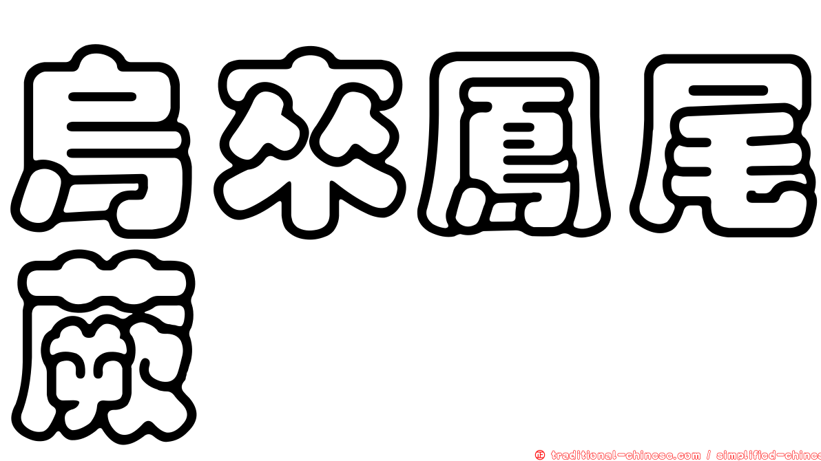 烏來鳳尾蕨