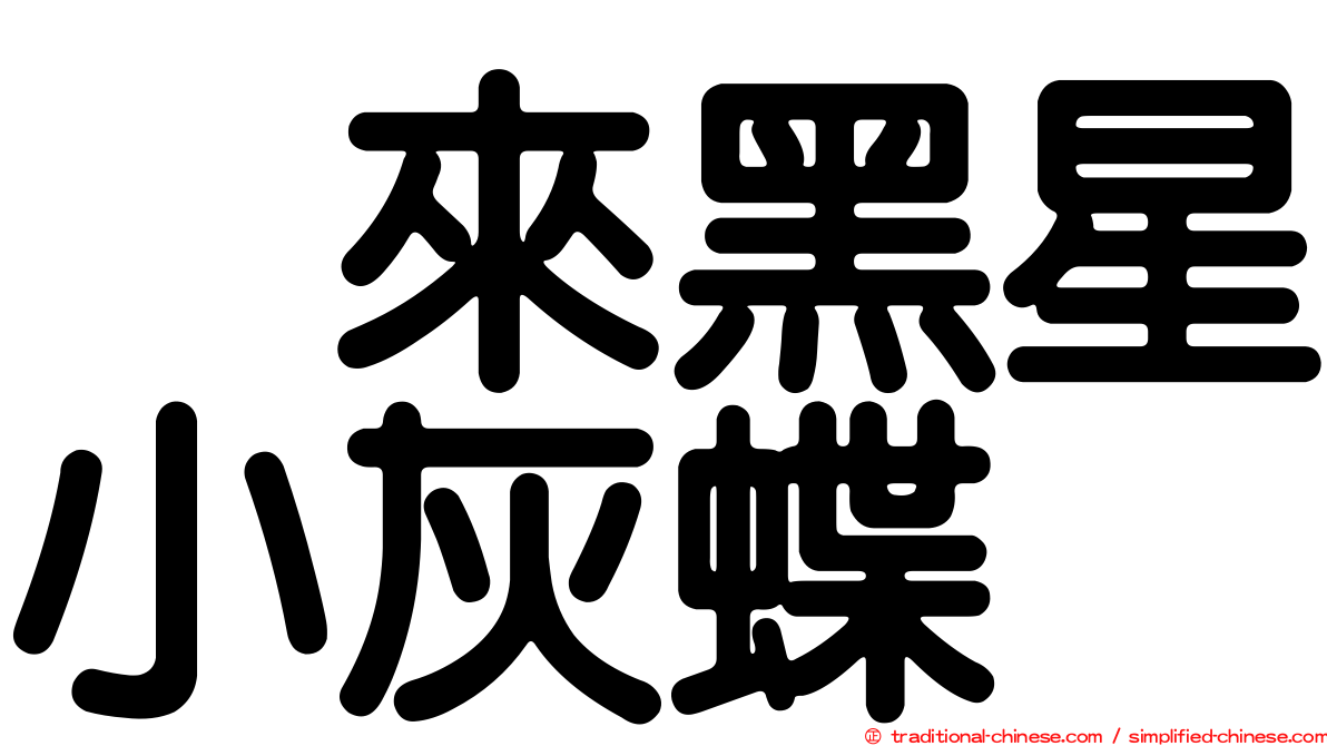 烏來黑星小灰蝶