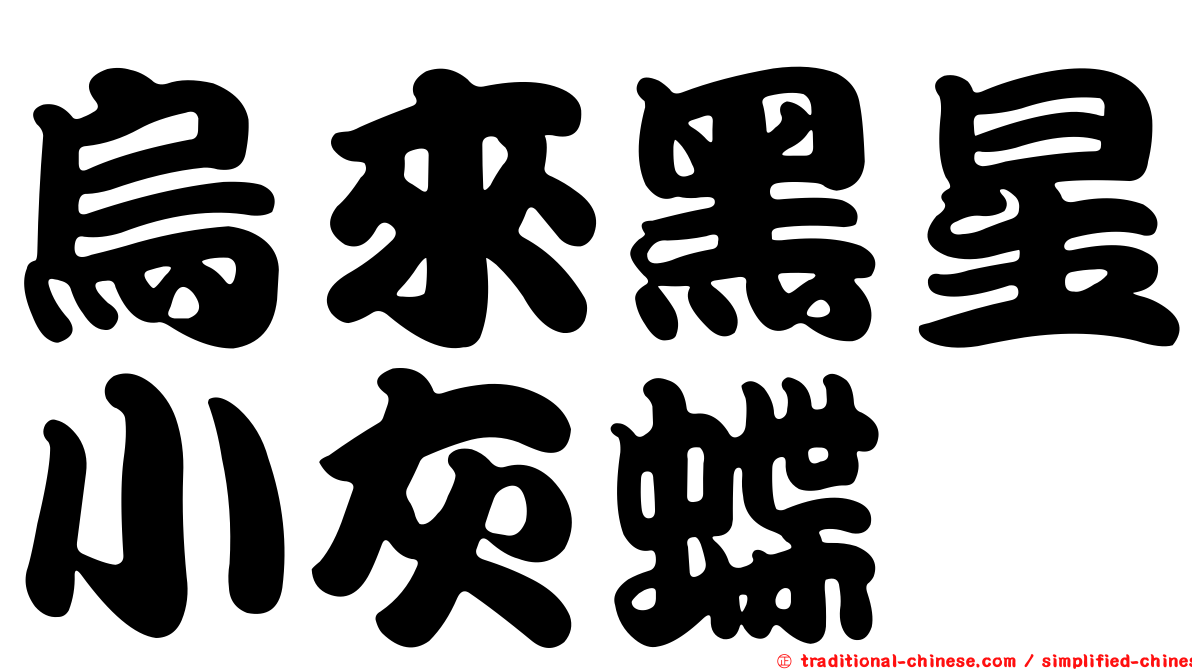 烏來黑星小灰蝶