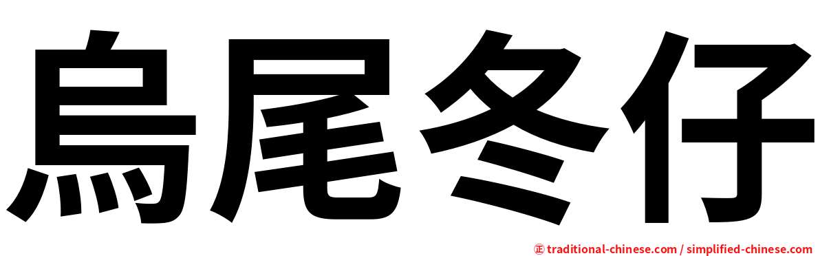 烏尾冬仔