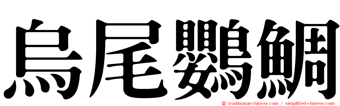 烏尾鸚鯛