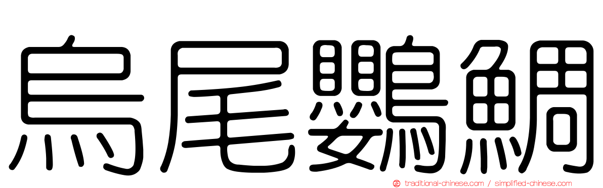 烏尾鸚鯛