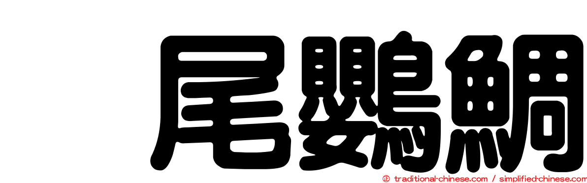 烏尾鸚鯛