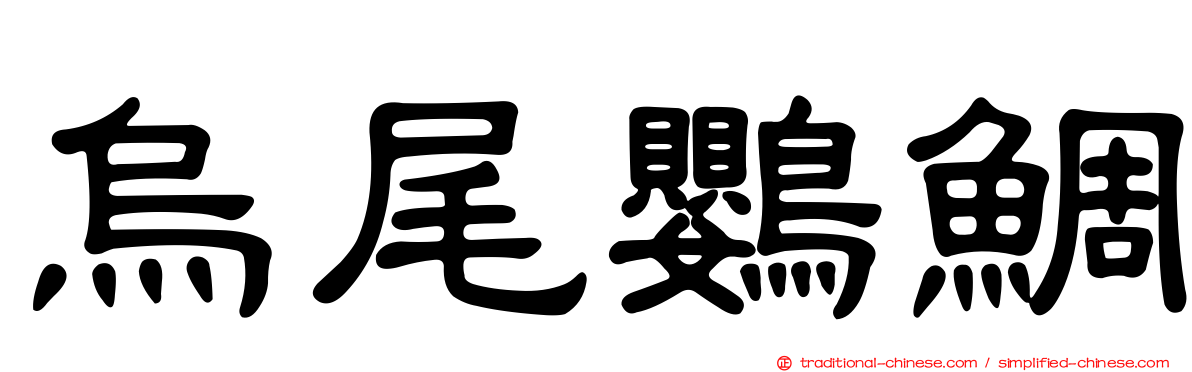 烏尾鸚鯛