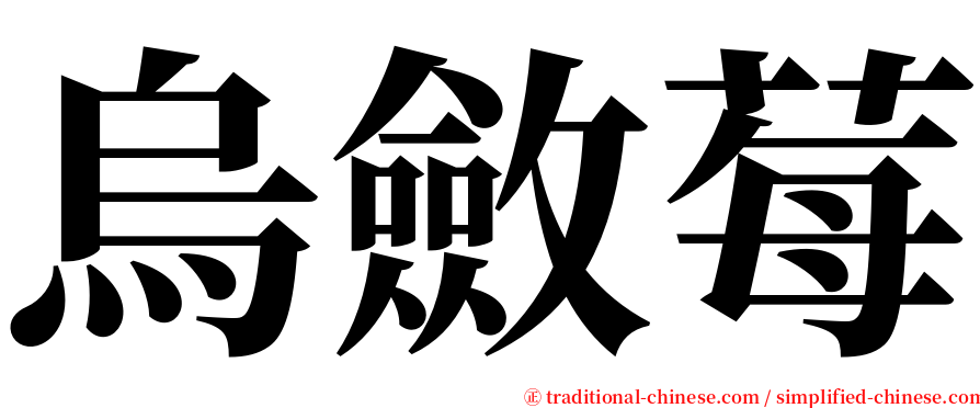 烏斂莓 serif font