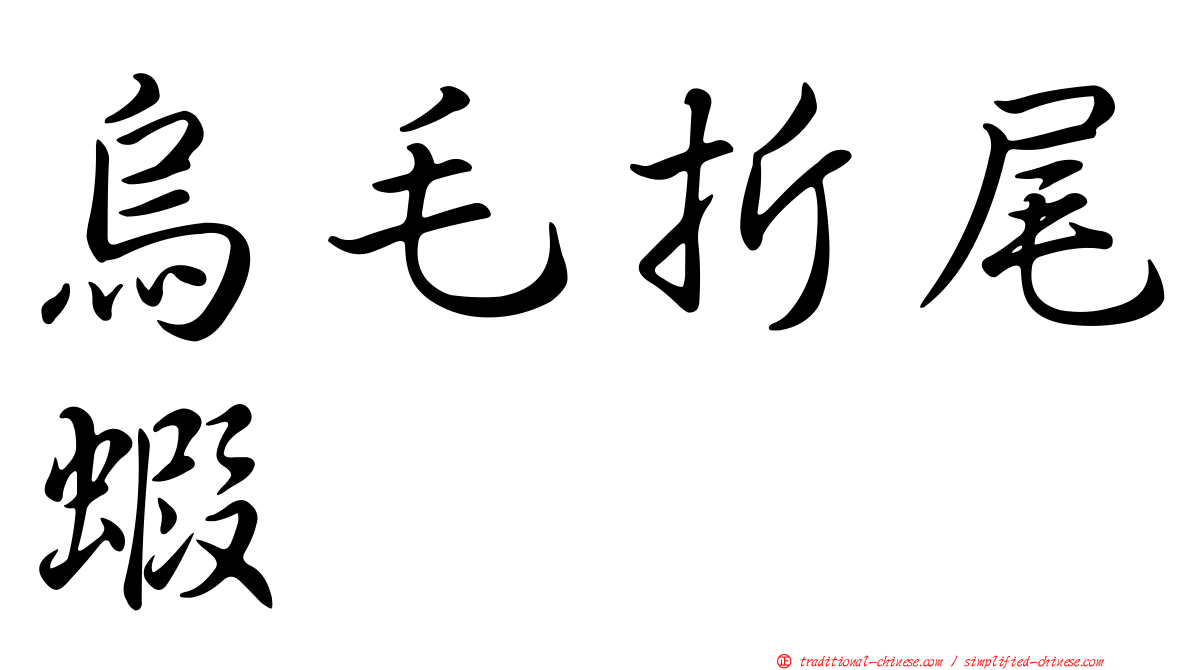 烏毛折尾蝦
