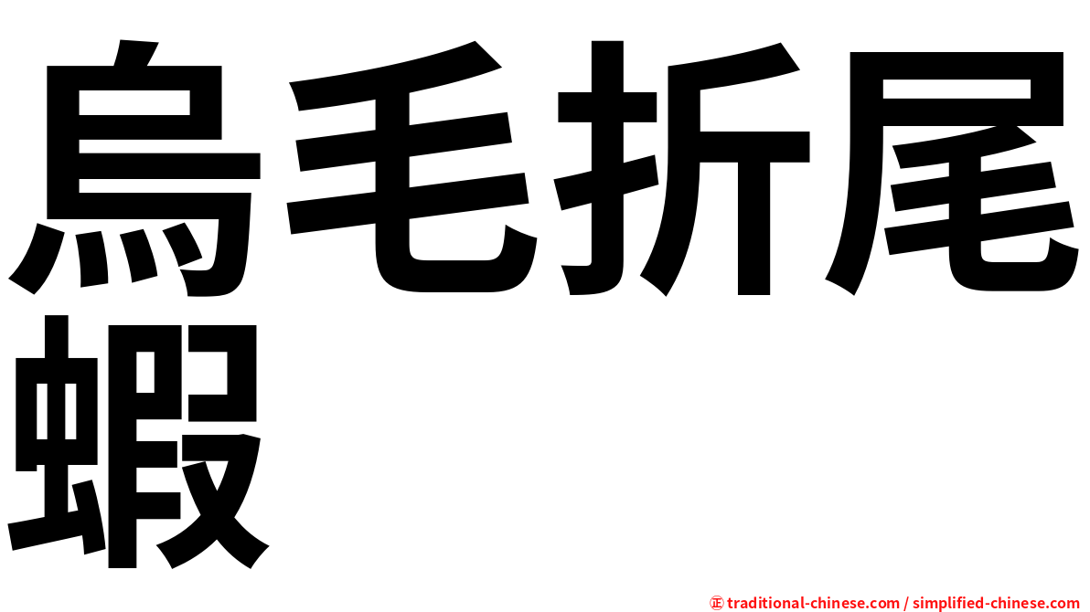 烏毛折尾蝦