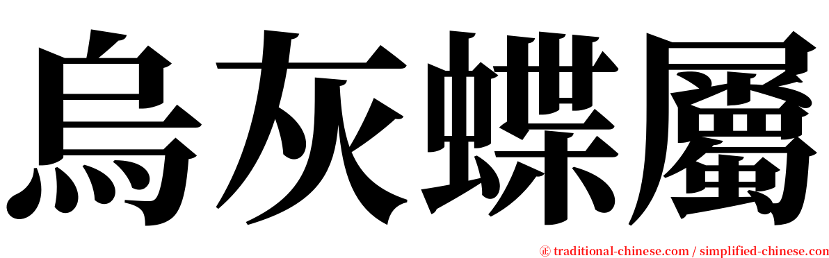 烏灰蝶屬 serif font
