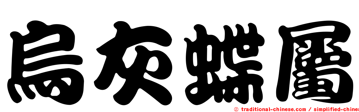 烏灰蝶屬