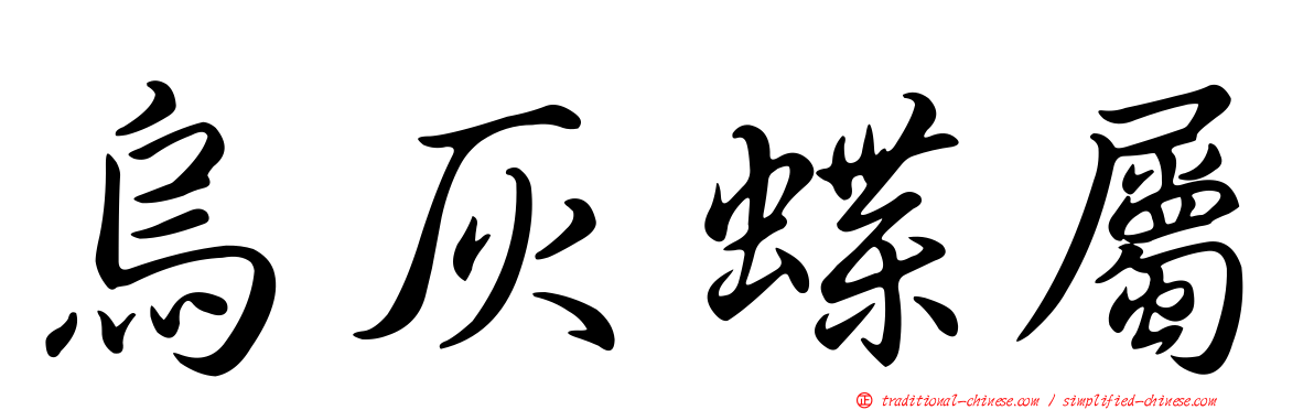 烏灰蝶屬