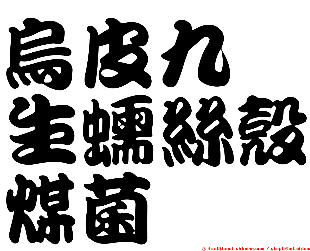 烏皮九芎生蠕絲殼煤菌
