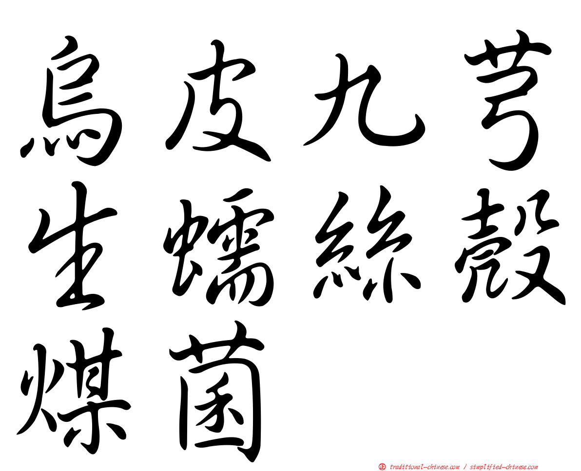 烏皮九芎生蠕絲殼煤菌