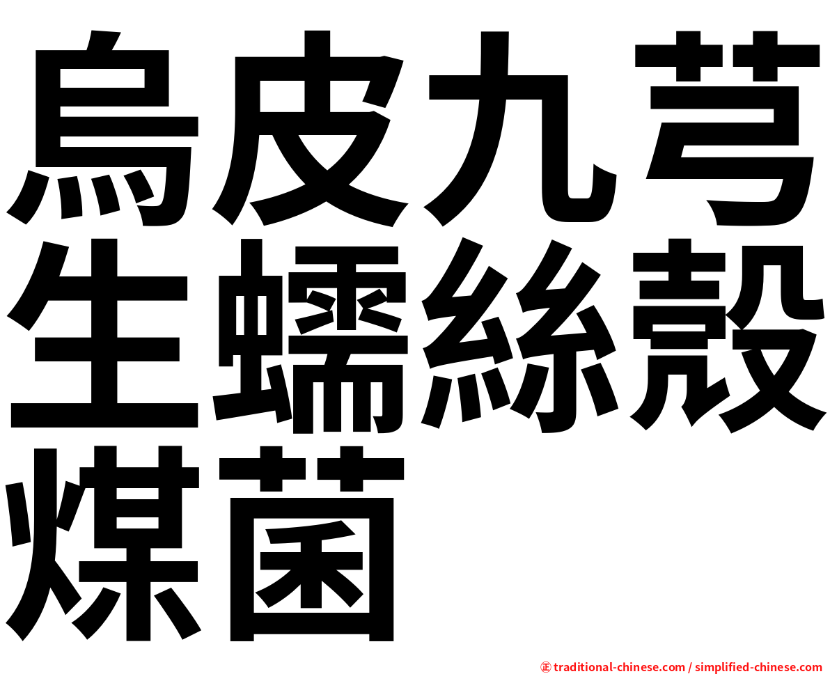 烏皮九芎生蠕絲殼煤菌