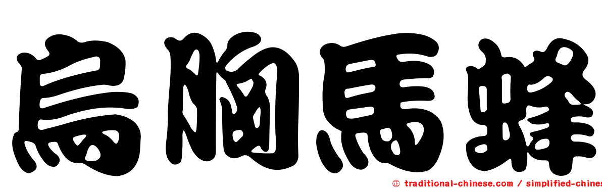 烏胸馬蜂