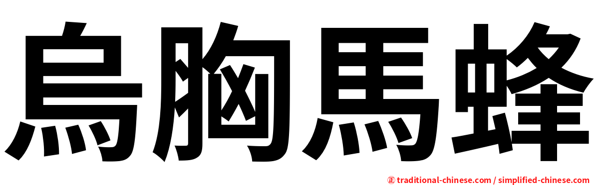 烏胸馬蜂