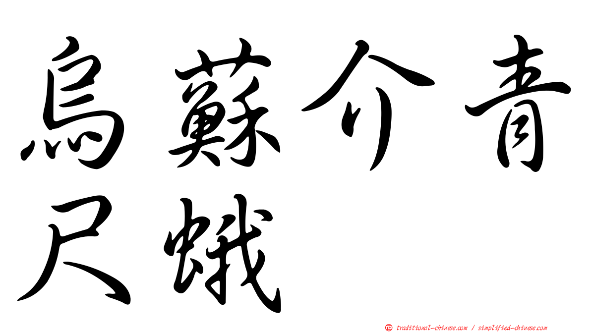 烏蘇介青尺蛾