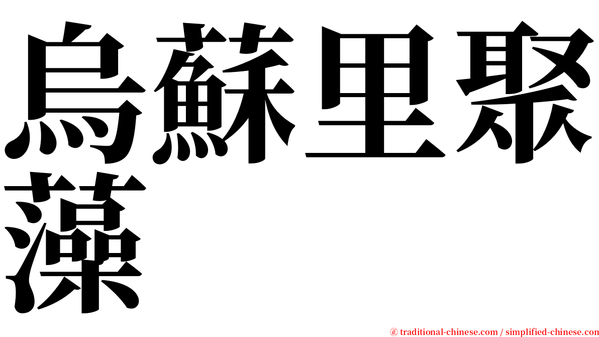 烏蘇里聚藻 serif font