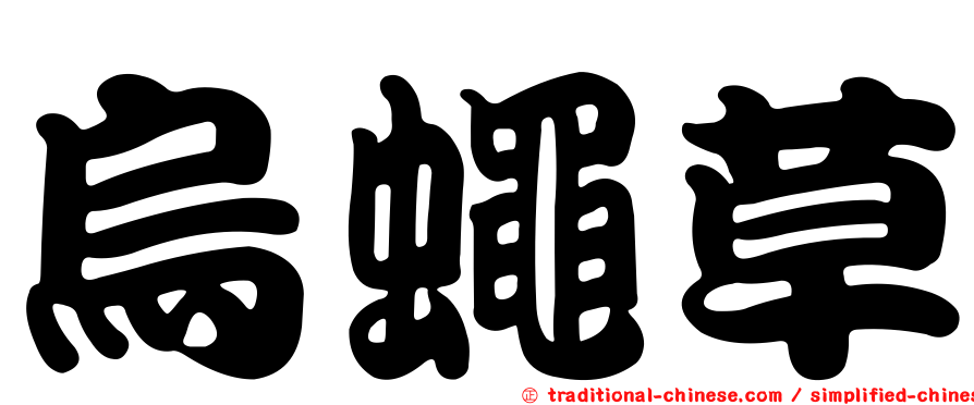 烏蠅草