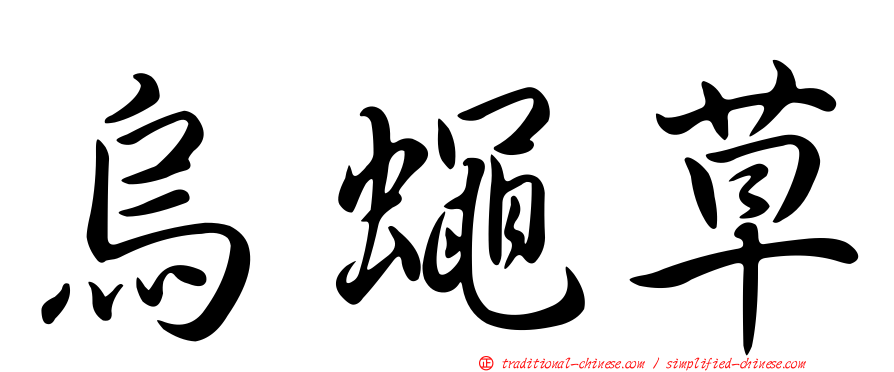 烏蠅草