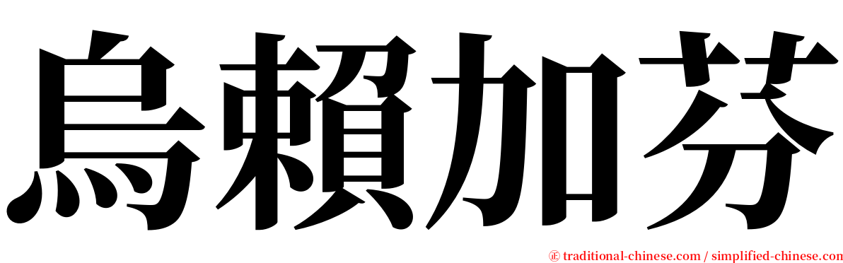 烏賴加芬 serif font
