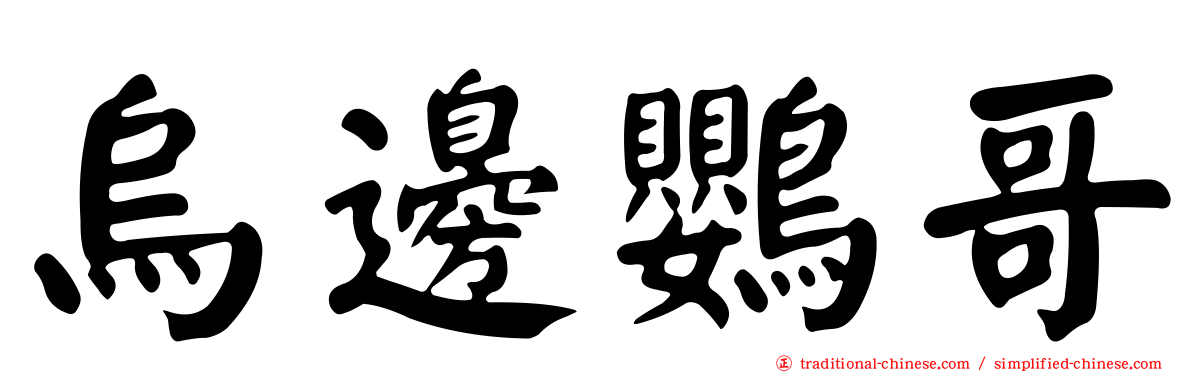 烏邊鸚哥