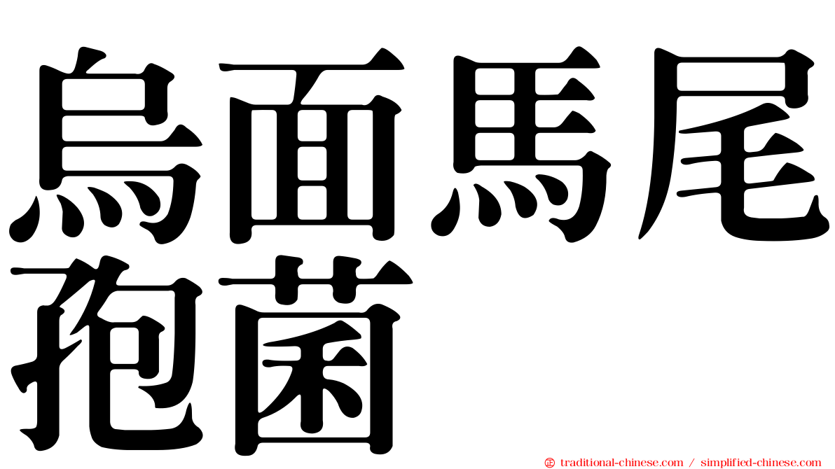 烏面馬尾孢菌