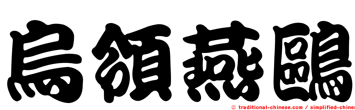 烏領燕鷗