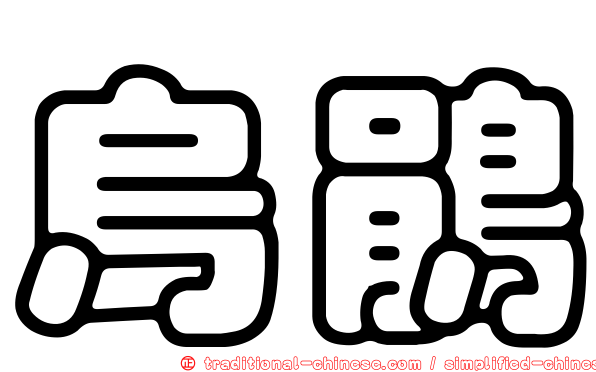 烏鵑