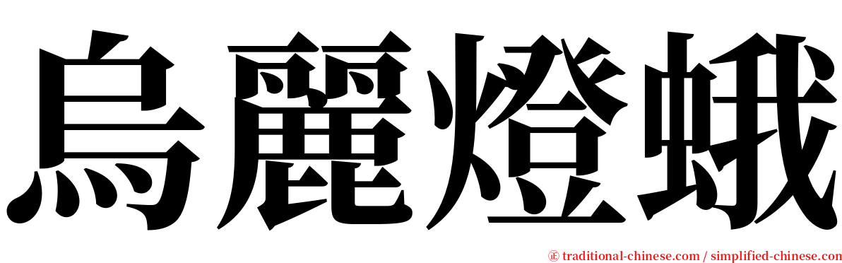 烏麗燈蛾 serif font