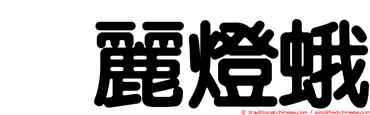 烏麗燈蛾