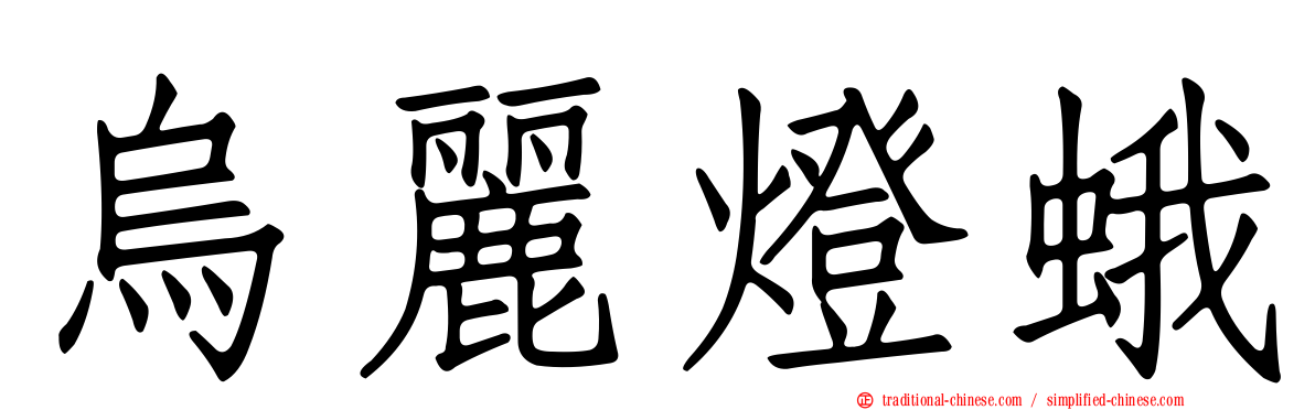 烏麗燈蛾
