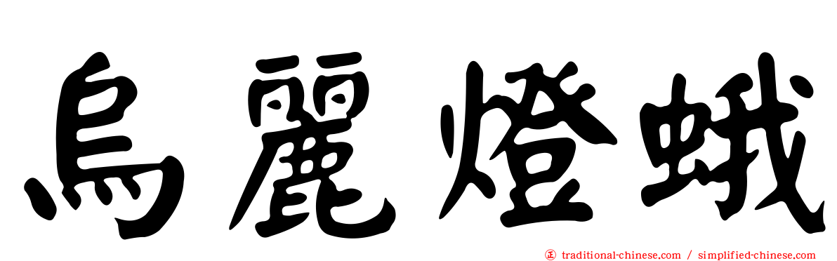 烏麗燈蛾