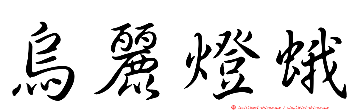 烏麗燈蛾