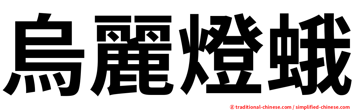 烏麗燈蛾