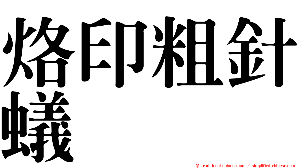 烙印粗針蟻
